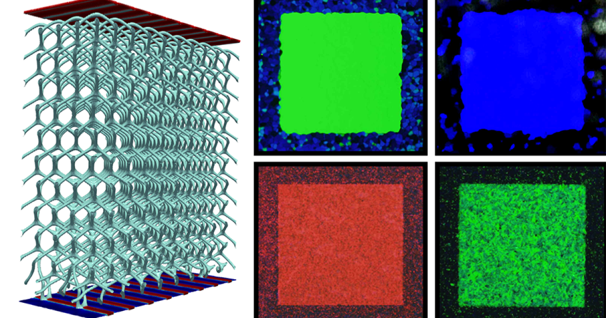 Creating Blue Phase Crystals For Future Technologies | Pritzker School ...